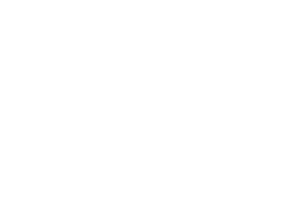 ECHO 2006